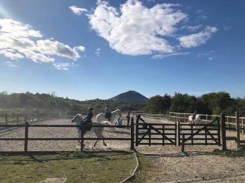 Letterfrack Farmhouse On Equestrian Farm In Letterfrack Beside Connemara National Park Tullywee Bridge Exterior foto