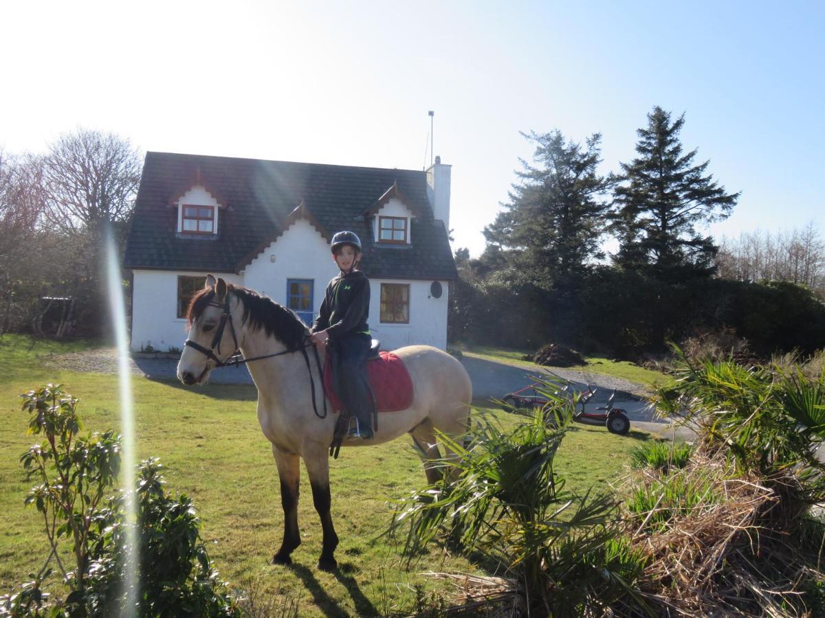 Letterfrack Farmhouse On Equestrian Farm In Letterfrack Beside Connemara National Park Tullywee Bridge Exterior foto